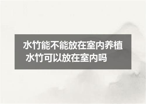 水竹能不能放在室内养植 水竹可以放在室内吗