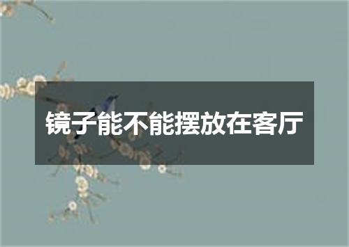 镜子能不能摆放在客厅