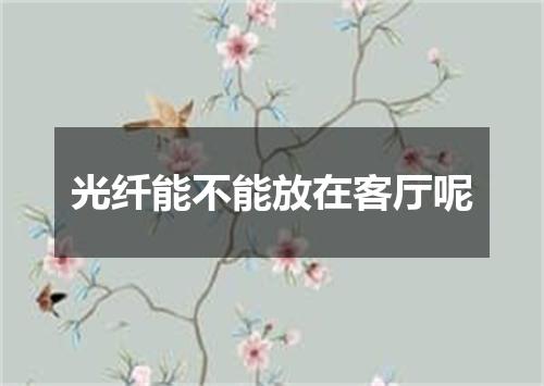 光纤能不能放在客厅呢