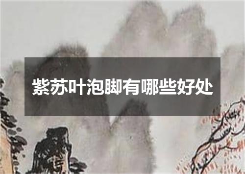 紫苏叶泡脚有哪些好处