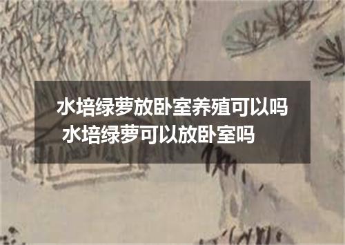 水培绿萝放卧室养殖可以吗 水培绿萝可以放卧室吗