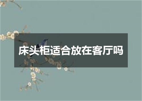 床头柜适合放在客厅吗