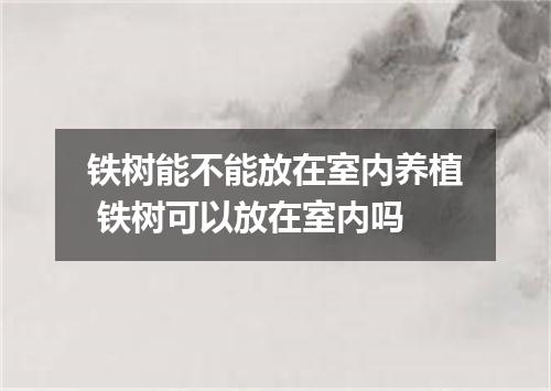 铁树能不能放在室内养植 铁树可以放在室内吗