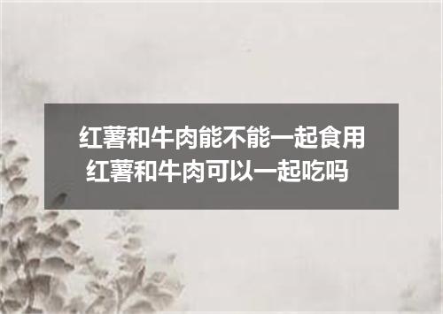 红薯和牛肉能不能一起食用 红薯和牛肉可以一起吃吗