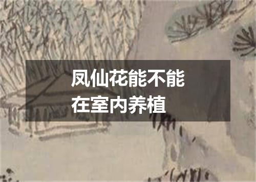 凤仙花能不能在室内养植