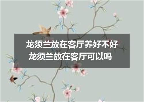 龙须兰放在客厅养好不好 龙须兰放在客厅可以吗