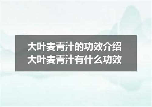 大叶麦青汁的功效介绍 大叶麦青汁有什么功效