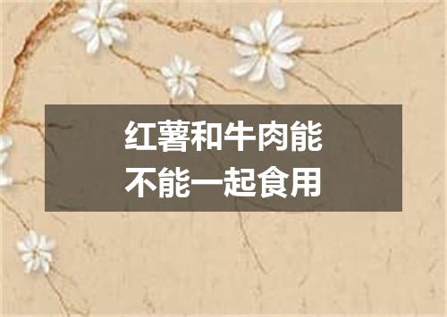 红薯和牛肉能不能一起食用