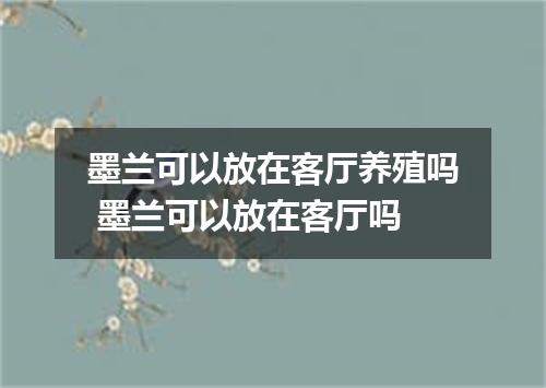 墨兰可以放在客厅养殖吗 墨兰可以放在客厅吗