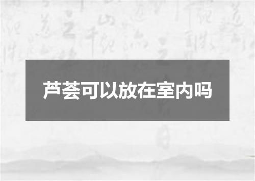芦荟可以放在室内吗