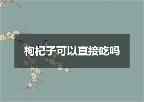 枸杞子可以直接吃吗