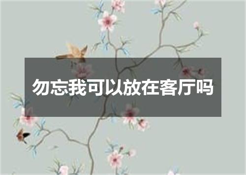 勿忘我可以放在客厅吗