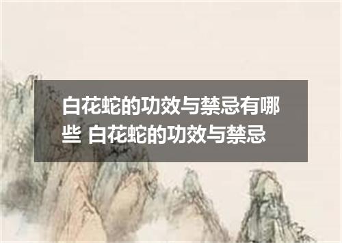 白花蛇的功效与禁忌有哪些 白花蛇的功效与禁忌