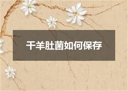 干羊肚菌如何保存