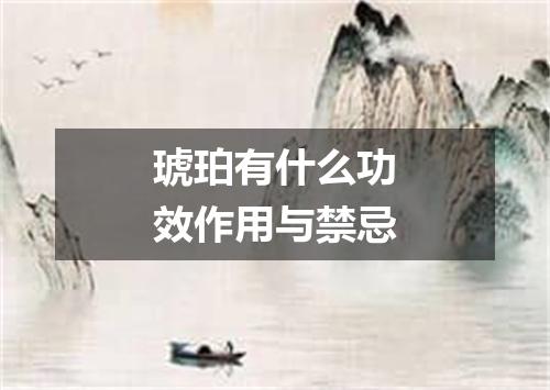 琥珀有什么功效作用与禁忌