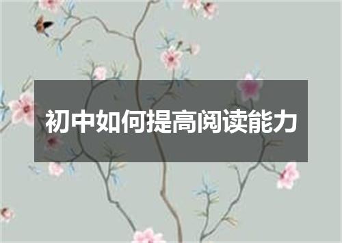 初中如何提高阅读能力