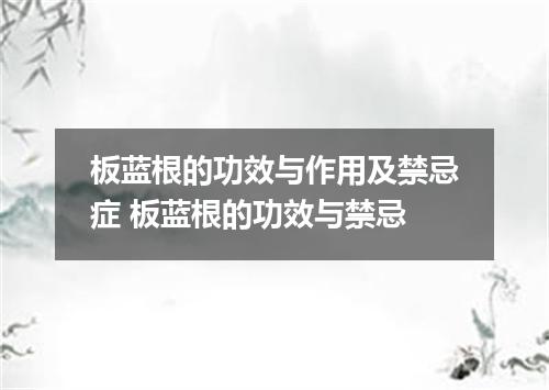 板蓝根的功效与作用及禁忌症 板蓝根的功效与禁忌