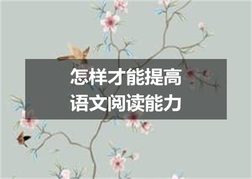 怎样才能提高语文阅读能力