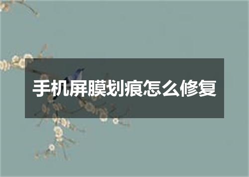 手机屏膜划痕怎么修复