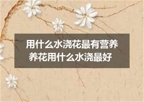 用什么水浇花最有营养 养花用什么水浇最好