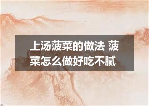 上汤菠菜的做法 菠菜怎么做好吃不腻