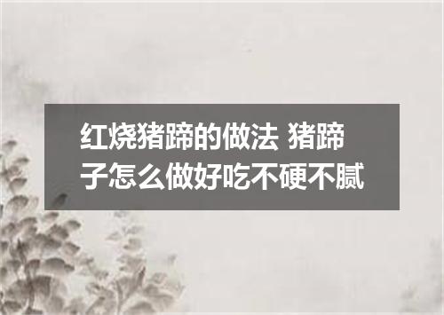 红烧猪蹄的做法 猪蹄子怎么做好吃不硬不腻