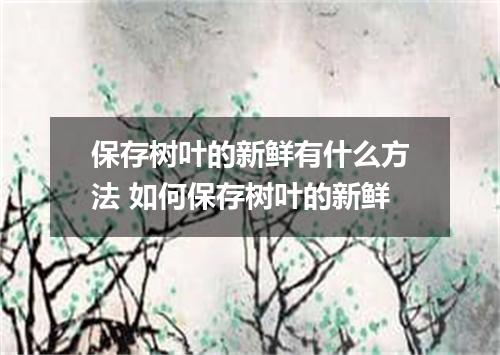 保存树叶的新鲜有什么方法 如何保存树叶的新鲜