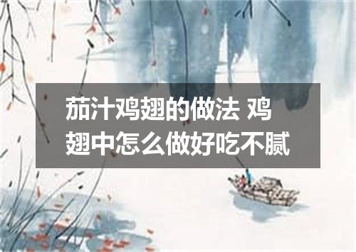 茄汁鸡翅的做法 鸡翅中怎么做好吃不腻