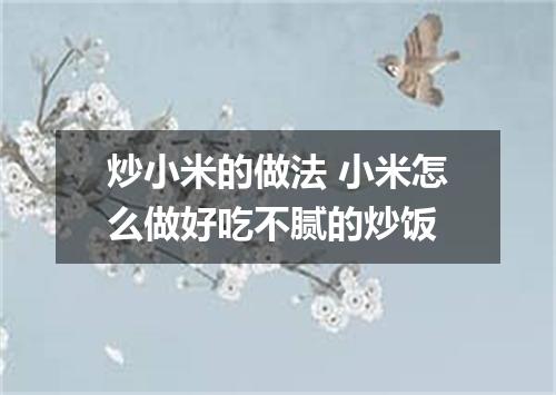 炒小米的做法 小米怎么做好吃不腻的炒饭