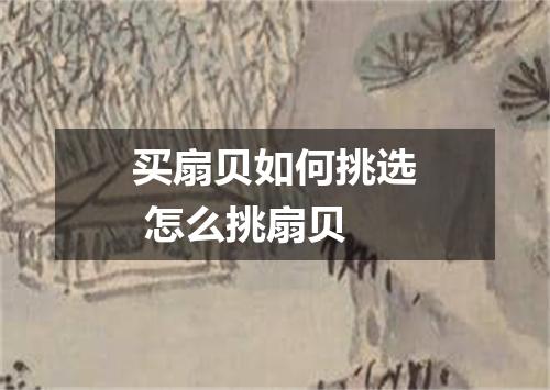 买扇贝如何挑选 怎么挑扇贝