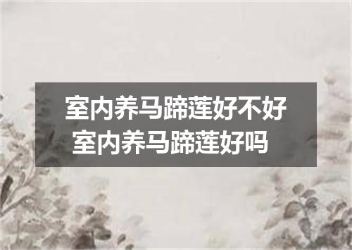 室内养马蹄莲好不好 室内养马蹄莲好吗