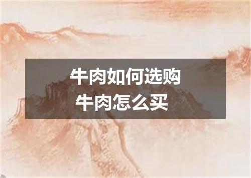 牛肉如何选购 牛肉怎么买