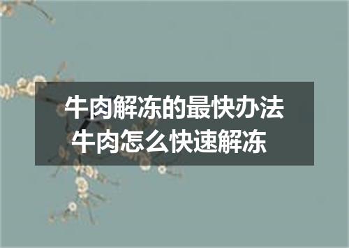 牛肉解冻的最快办法 牛肉怎么快速解冻