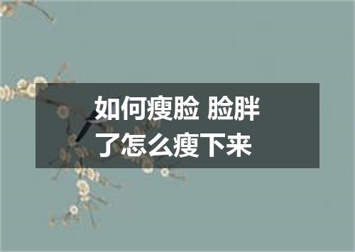 如何瘦脸 脸胖了怎么瘦下来