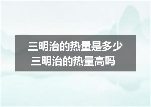三明治的热量是多少 三明治的热量高吗