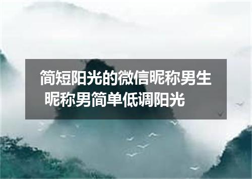 简短阳光的微信昵称男生 昵称男简单低调阳光