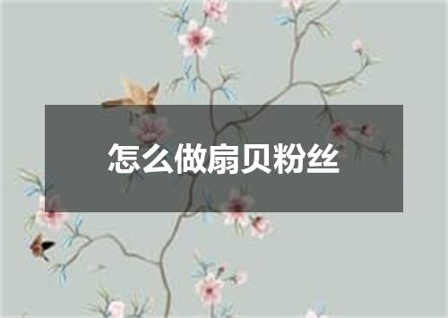 怎么做扇贝粉丝