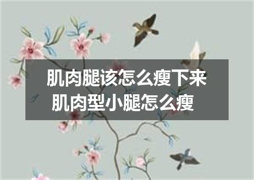 肌肉腿该怎么瘦下来 肌肉型小腿怎么瘦