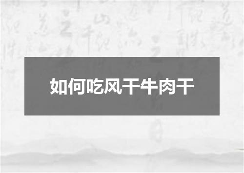 如何吃风干牛肉干