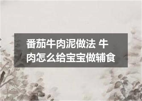 番茄牛肉泥做法 牛肉怎么给宝宝做辅食