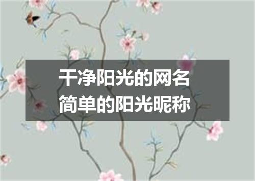 干净阳光的网名 简单的阳光昵称