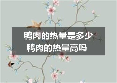 鸭肉的热量是多少 鸭肉的热量高吗