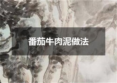 番茄牛肉泥做法