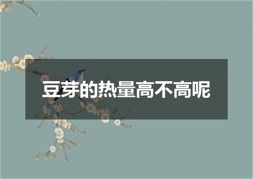 豆芽的热量高不高呢