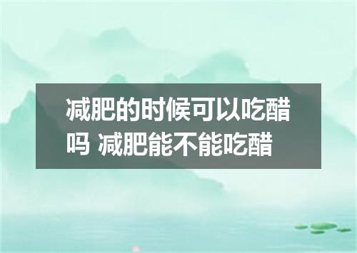 减肥的时候可以吃醋吗 减肥能不能吃醋
