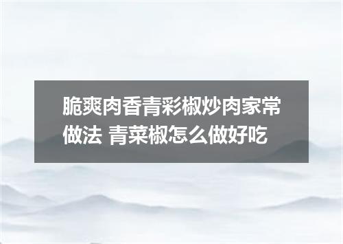 脆爽肉香青彩椒炒肉家常做法 青菜椒怎么做好吃