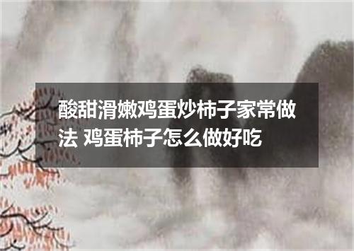 酸甜滑嫩鸡蛋炒柿子家常做法 鸡蛋柿子怎么做好吃