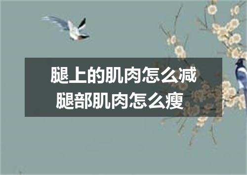 腿上的肌肉怎么减 腿部肌肉怎么瘦