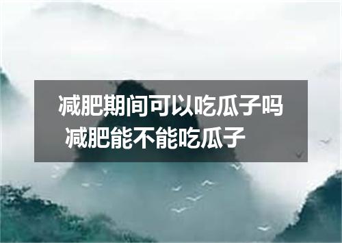 减肥期间可以吃瓜子吗 减肥能不能吃瓜子