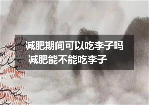 减肥期间可以吃李子吗 减肥能不能吃李子